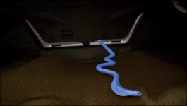 Saavi Ki Savaari - 14th March 2023